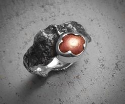 Zilveren ring Sterrobijn